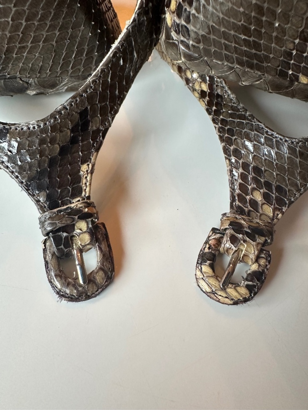Python Heels - Picture 13 of 16